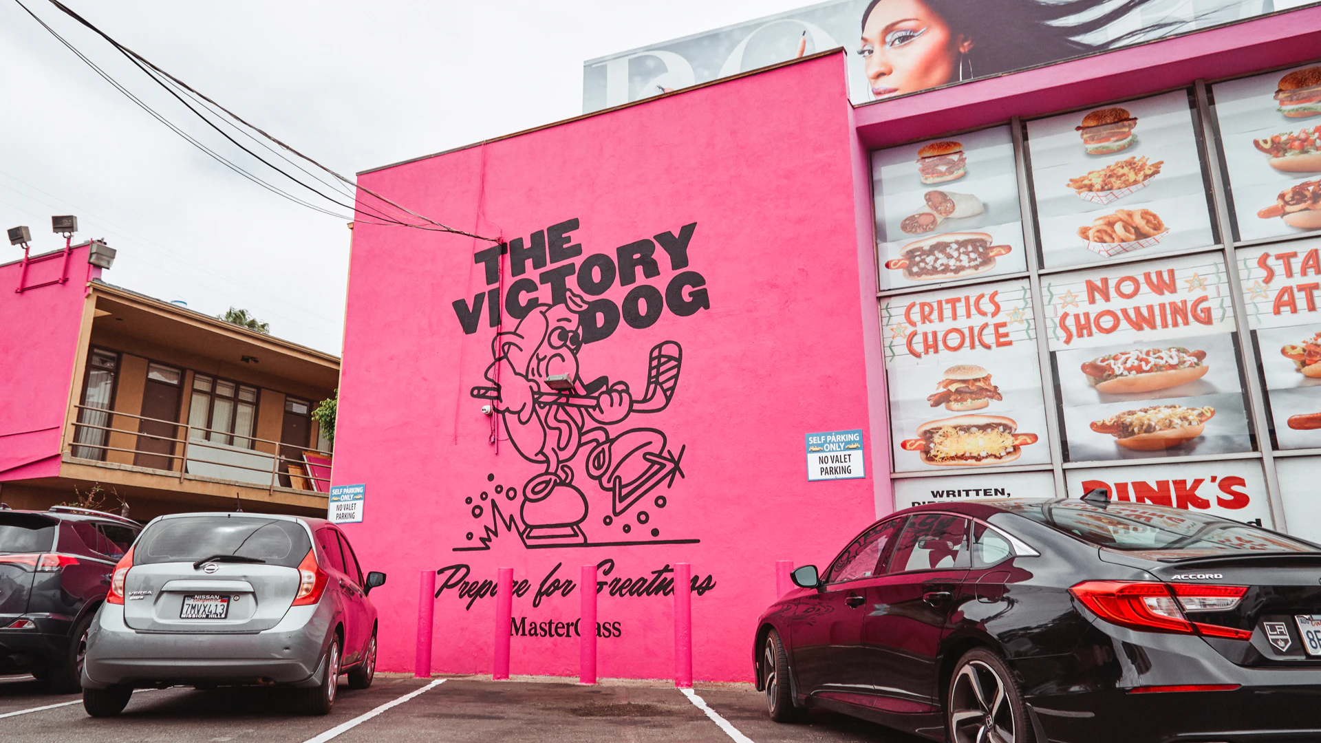 The Victory Dog, 5 of 8
